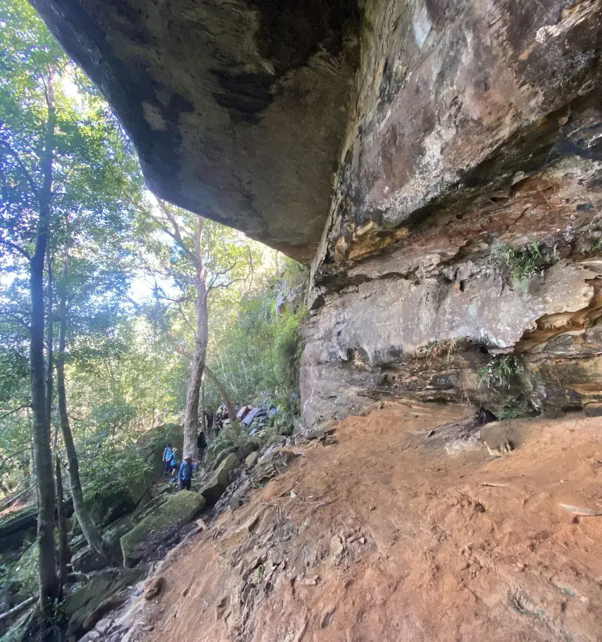 Central Coast Megacave