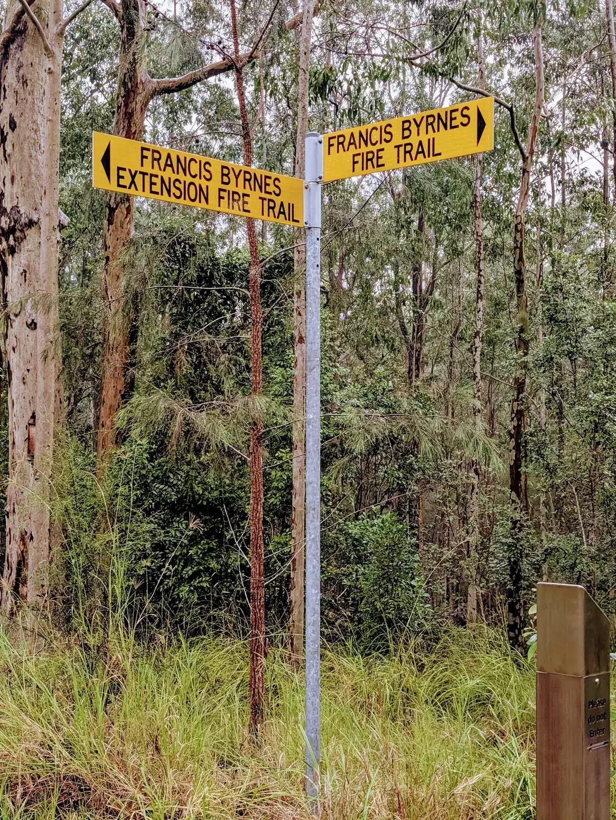 Mt alison dog walk
