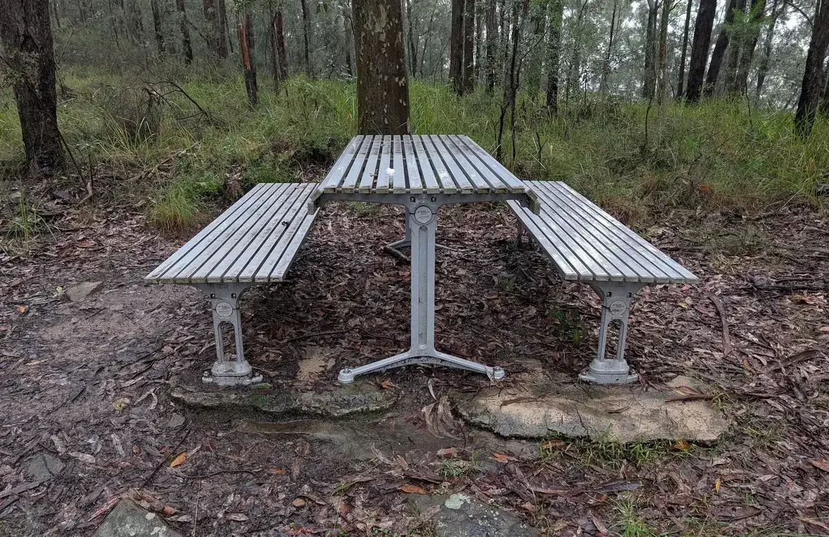 Steel framed picnic table in a grassy clearing on Mt Alison
