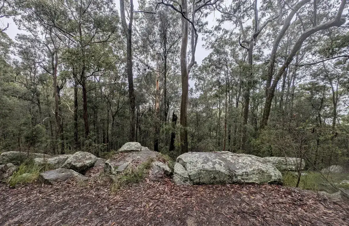 Sandstone boulders framing the Mt Alison ridge clearing