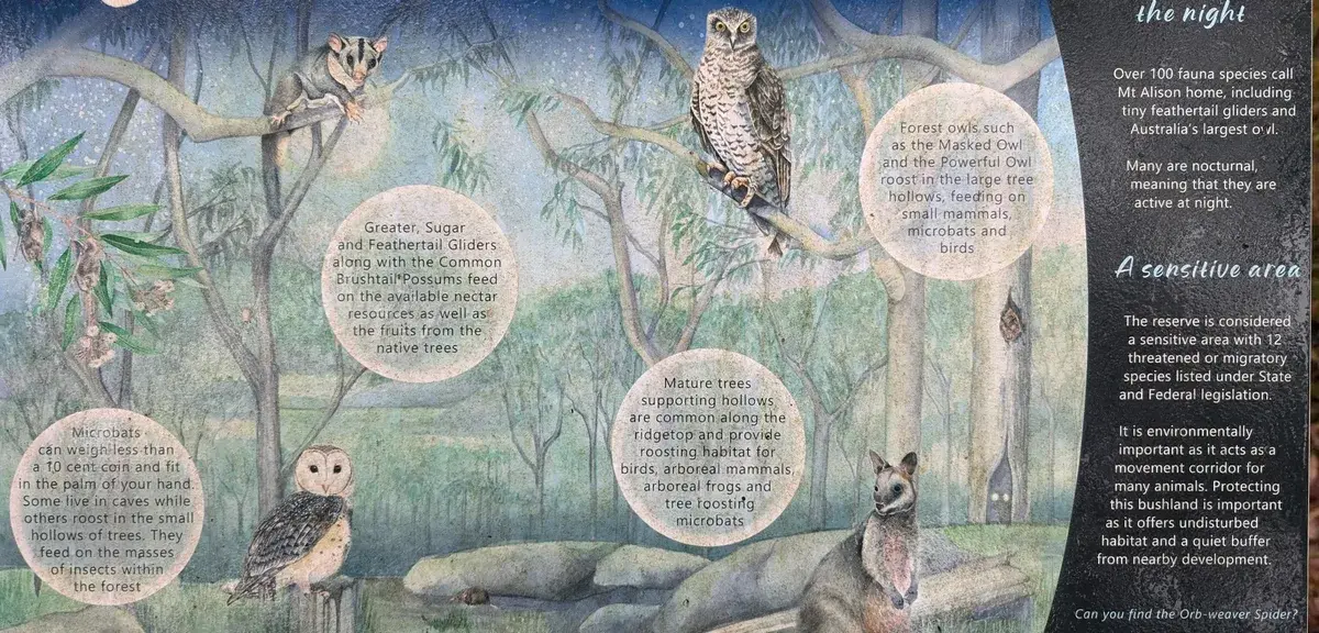 Interpretive sign depicting owls, gliders and a wallaby at night