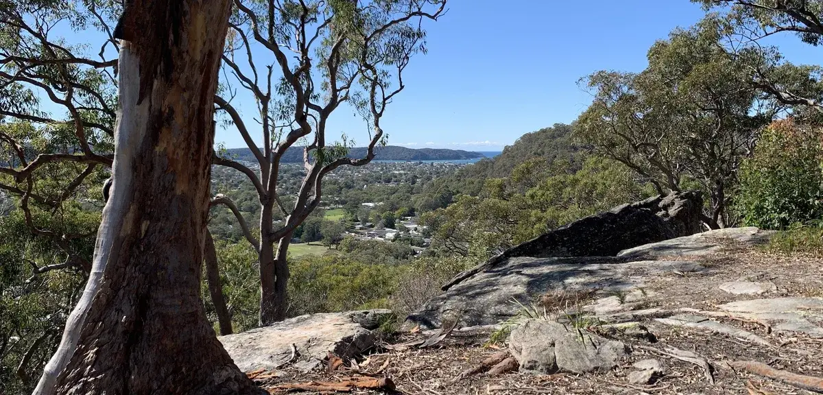 View over Umina Beach township from the Nagari Road reserve lookout