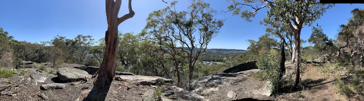 Bushland panorama overlooking Umina Beach from the reserve ridge