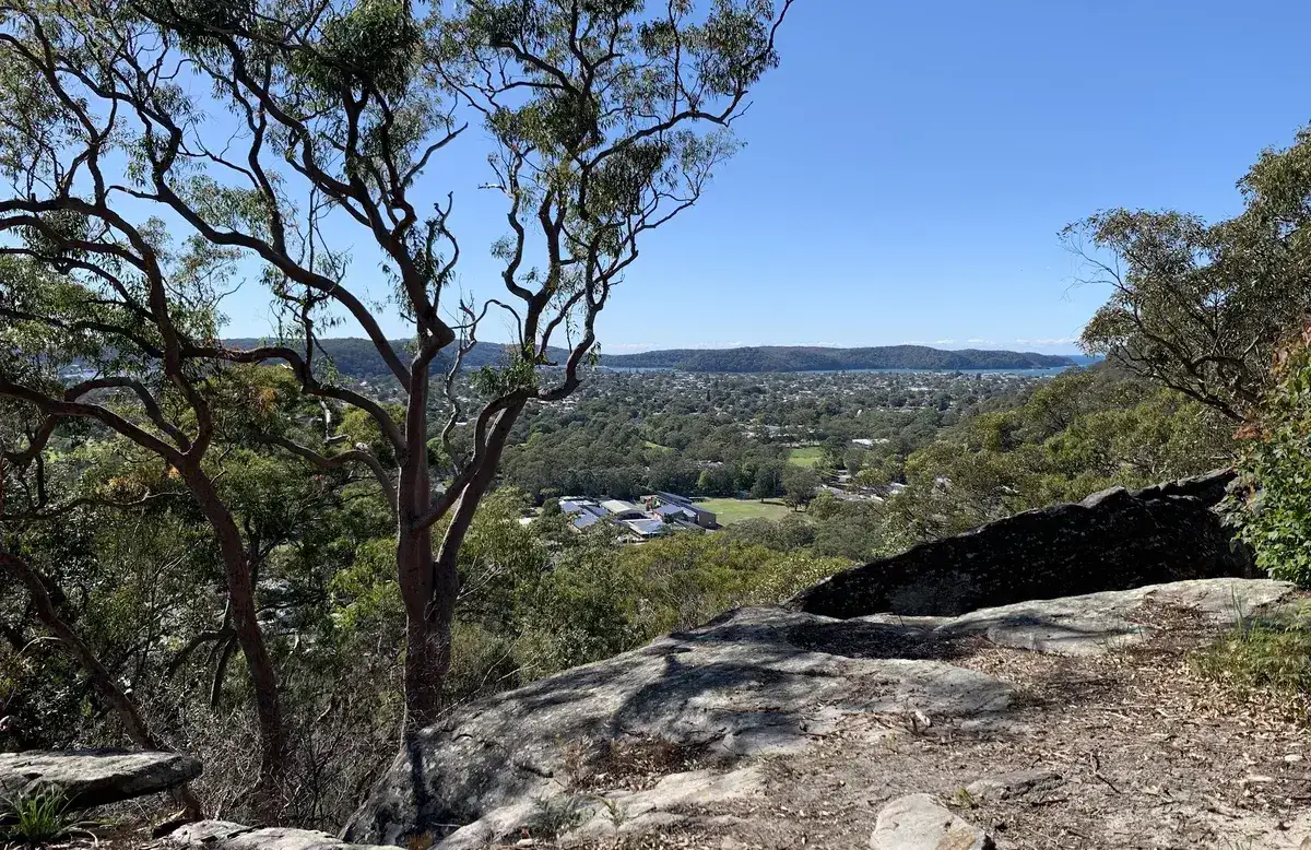 Wide view over Umina Beach rooftops and playing fields from the ridge track