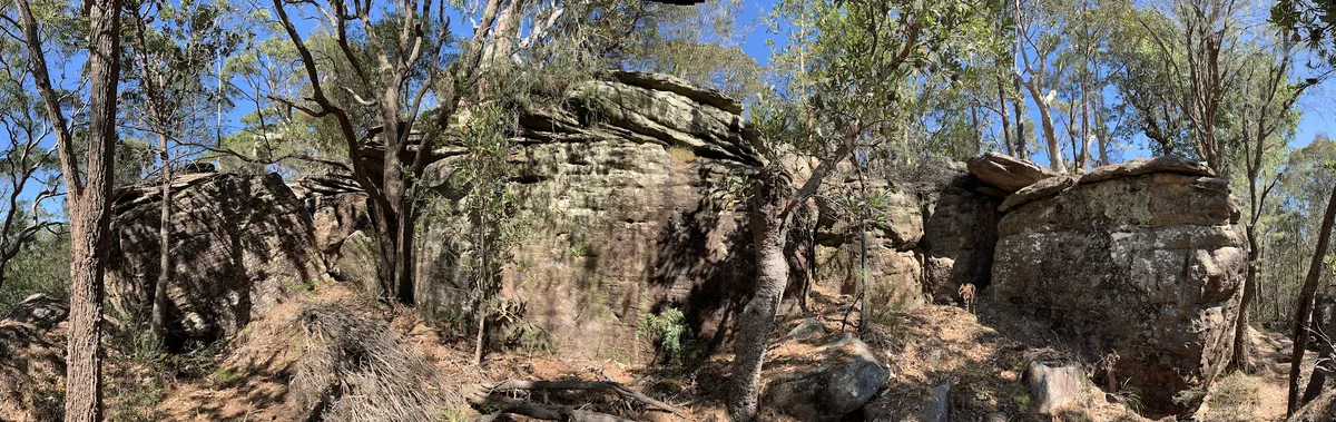 Sandstone rock outcrop along the bush track above Umina Beach