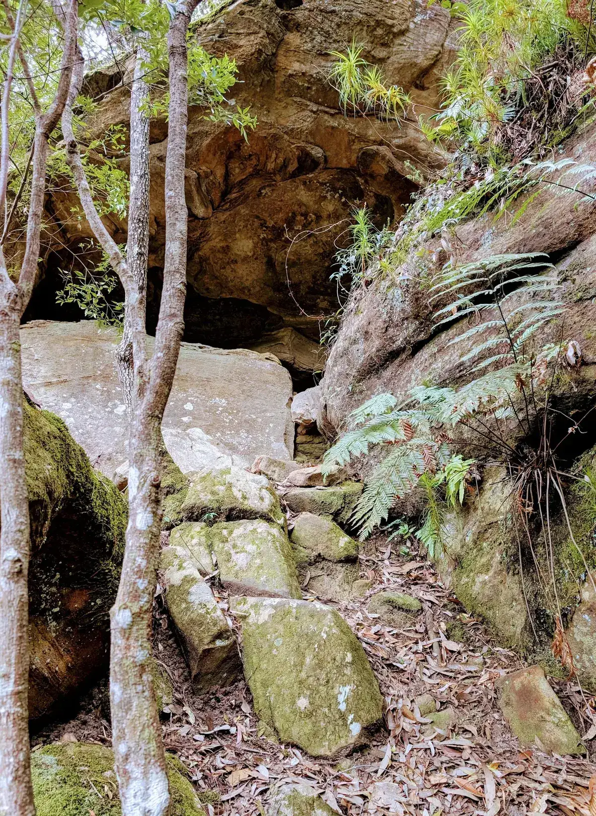 Calm bend of Fountain Creek near the old Narara railway dams