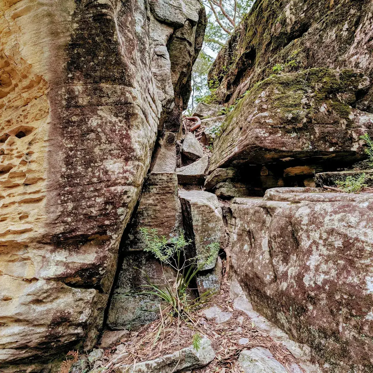 Narrow gap between sandstone boulders along the Narara dam track