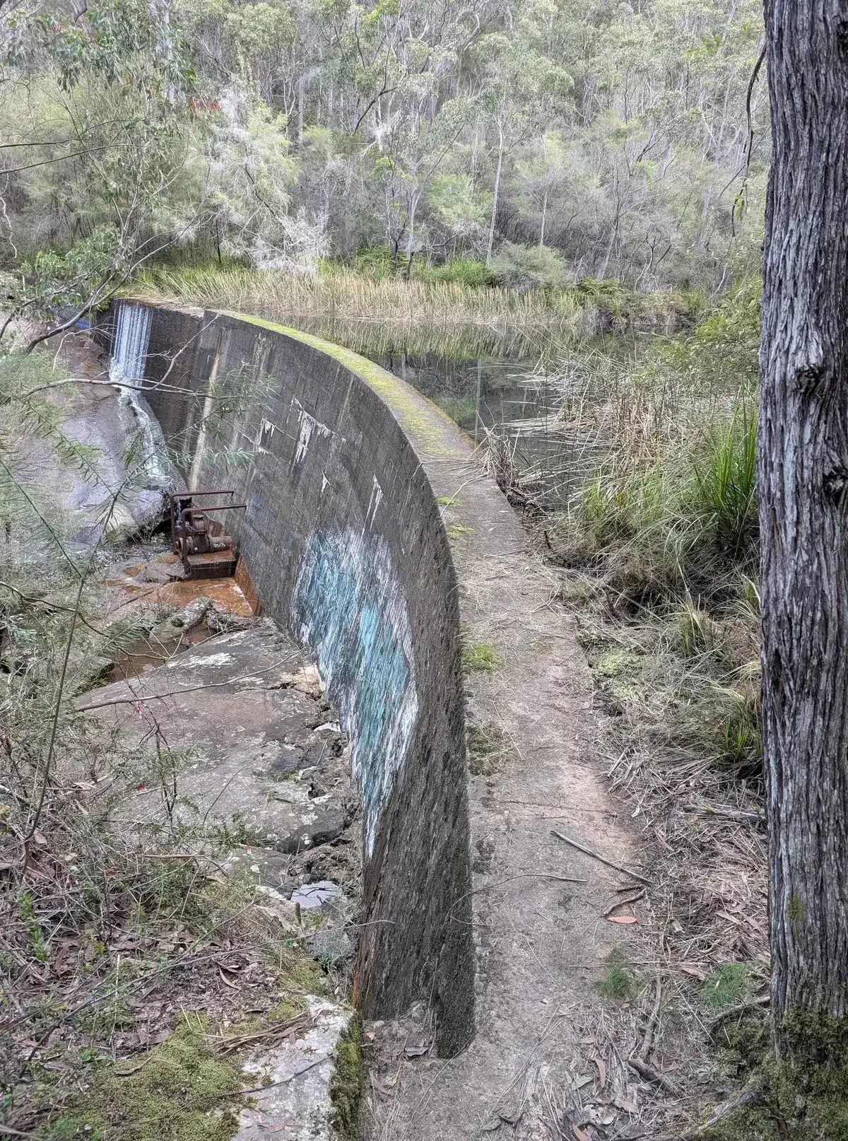 Gosford Railway Dam