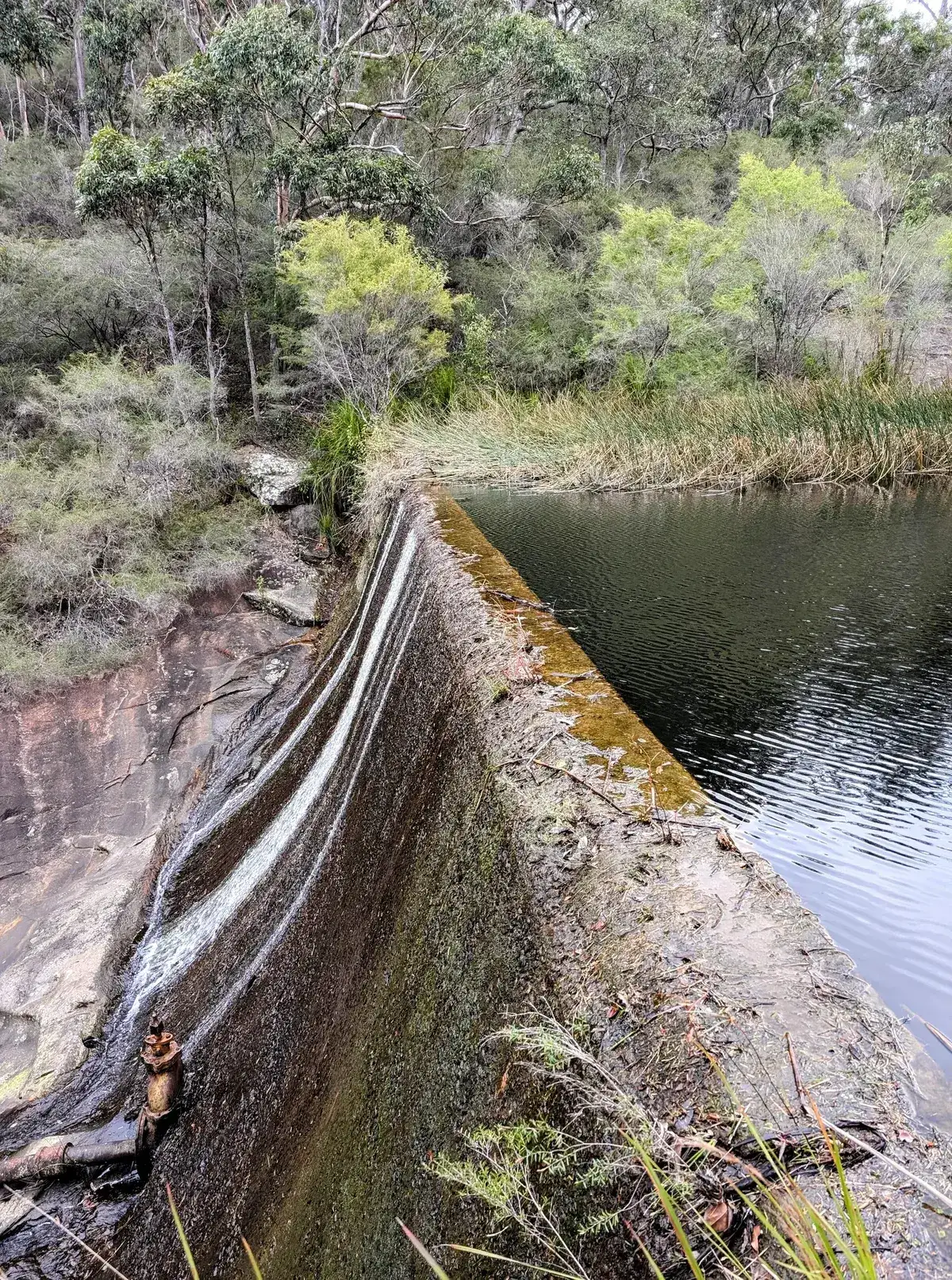 Gosford Railway Dam