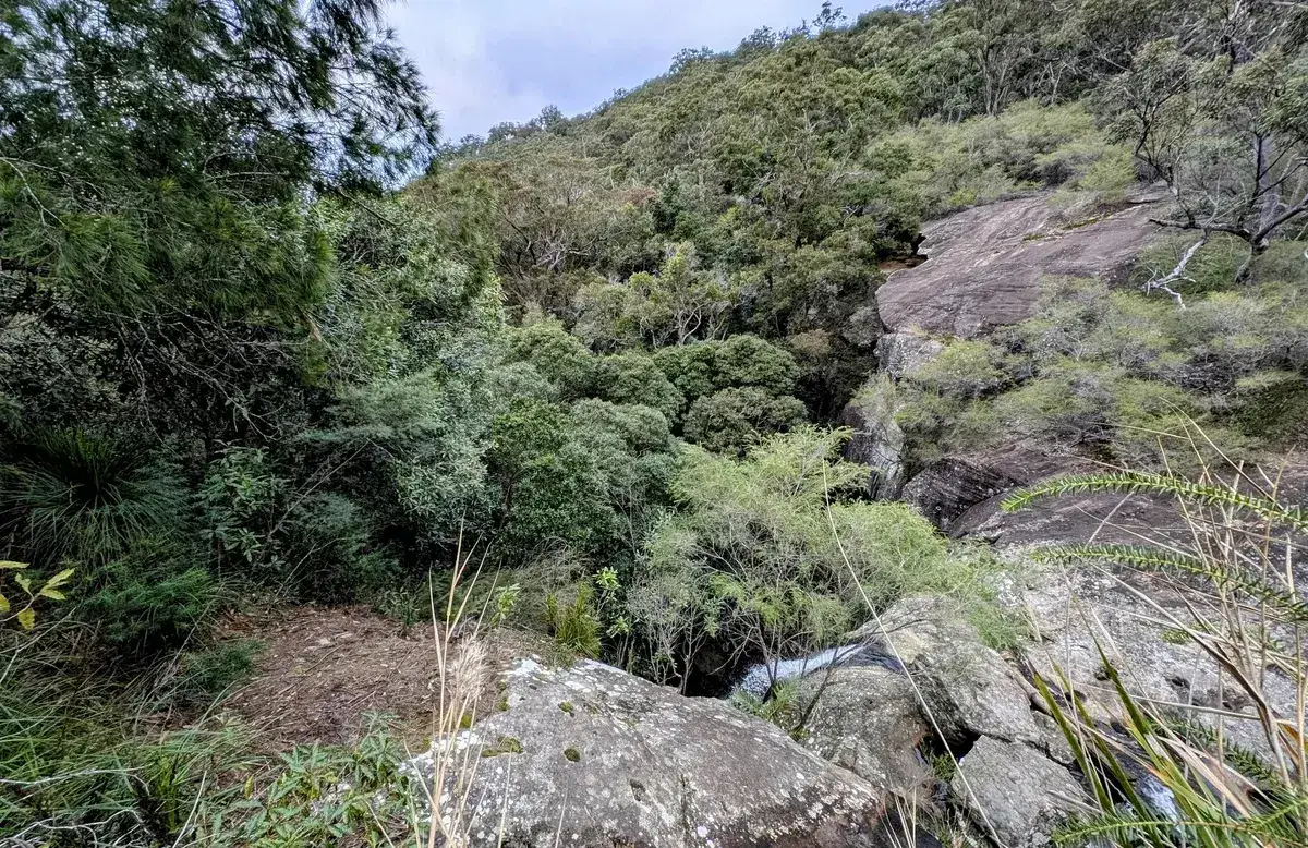 Rocky forest gully with a small cascade near the Narara railway dams