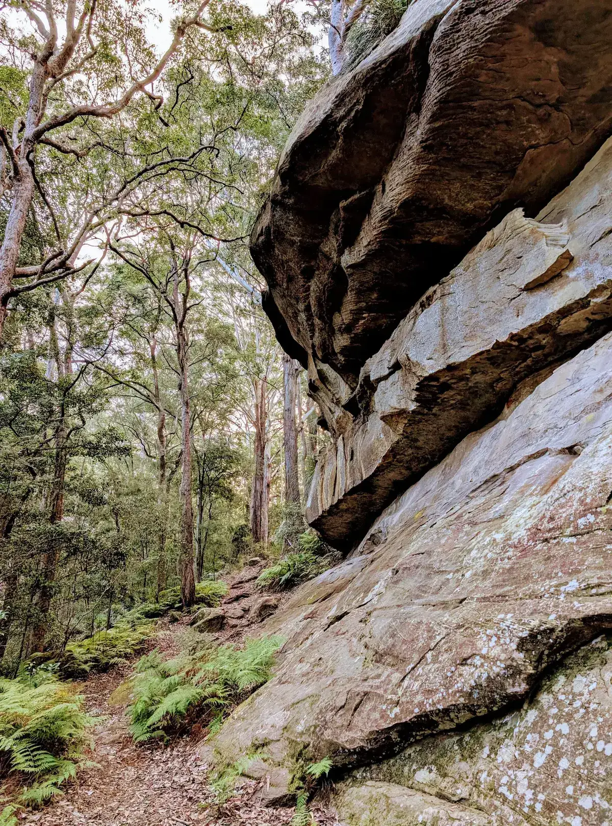 Narara - Reeves St Explorer (1km) photo 2