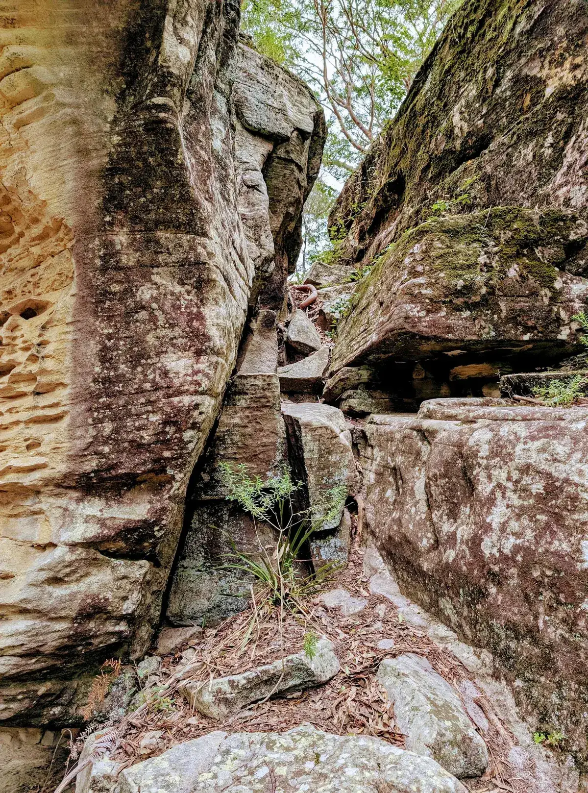 Narara - Reeves St Explorer (1km) photo 3