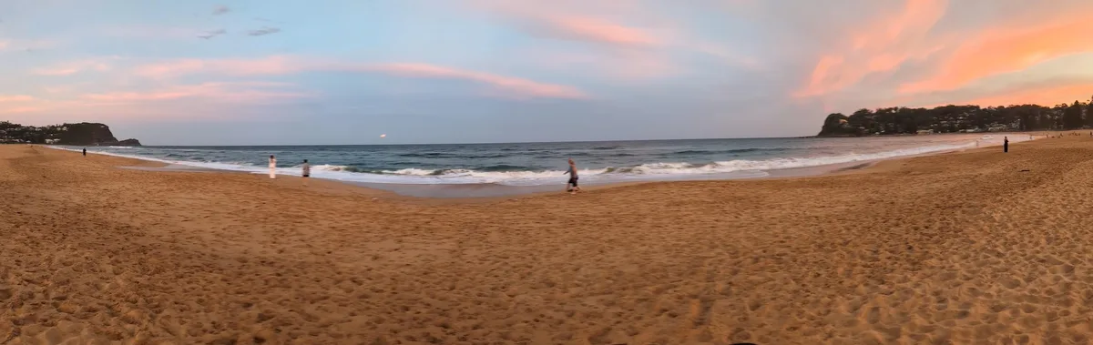 North avoca beach dog walk