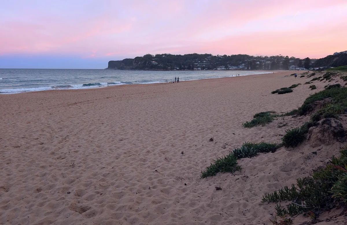 North avoca beach dog walk
