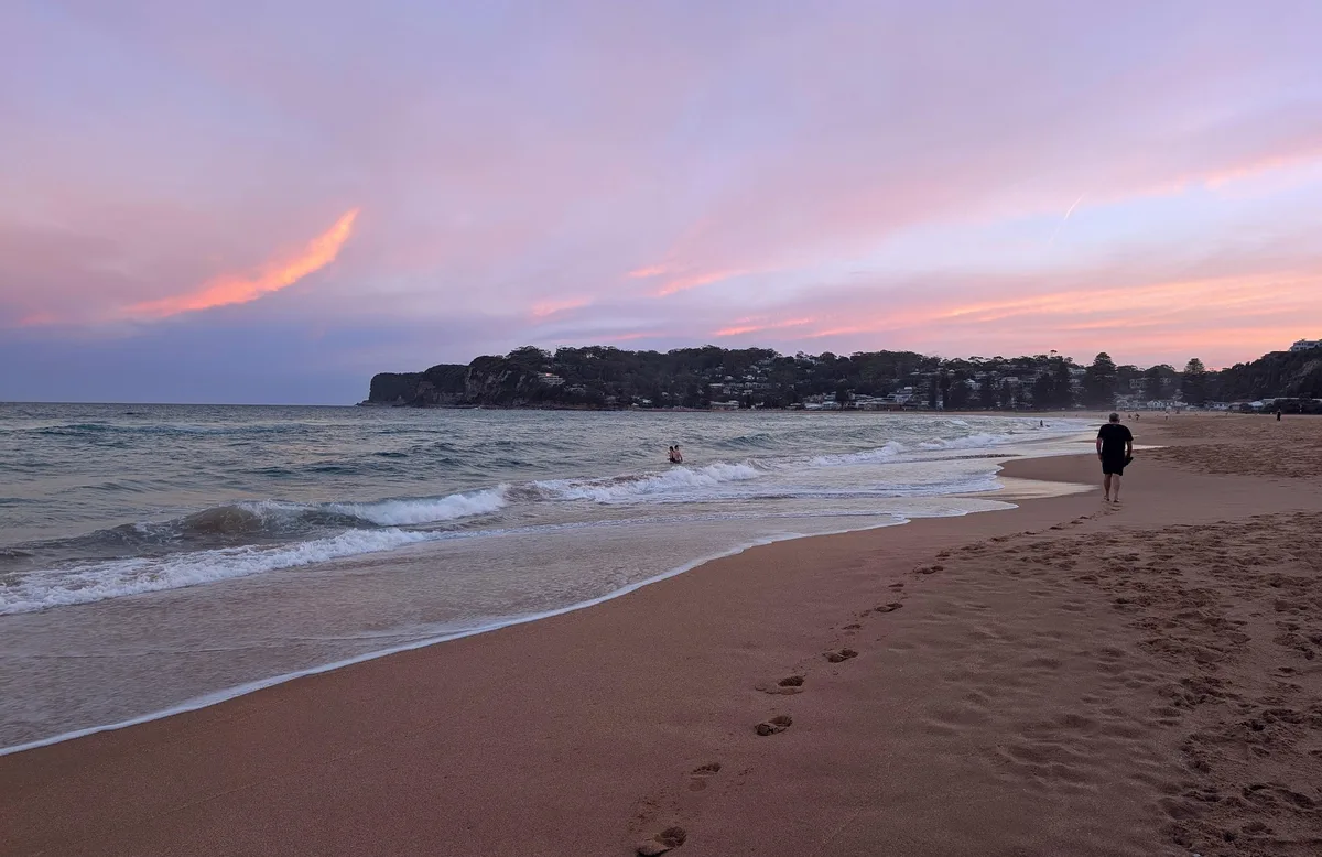 North avoca beach dog walk