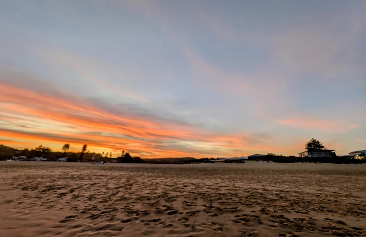 North avoca beach dog walk