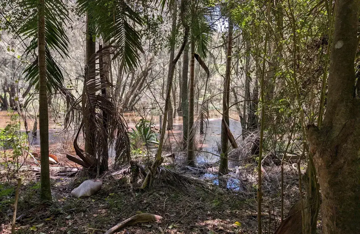 North avoca lake explorer