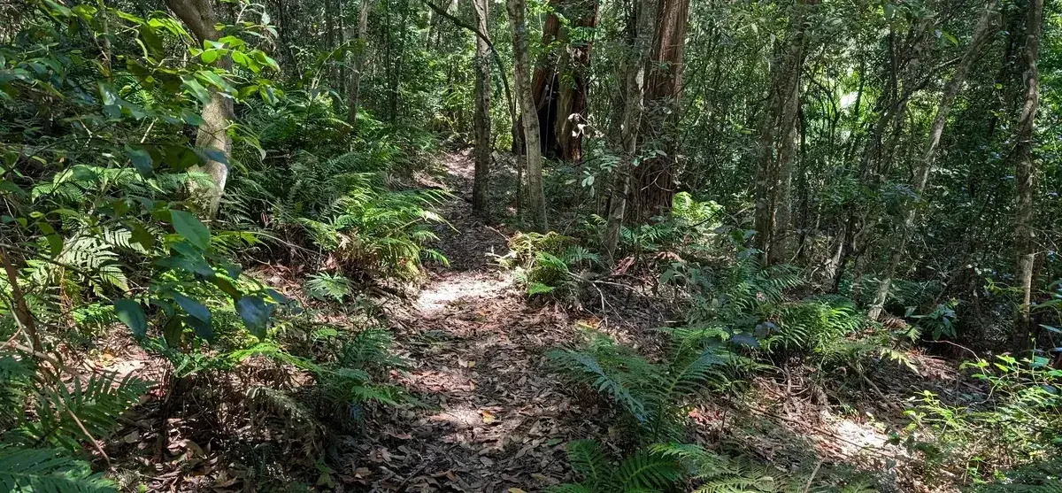 North avoca lake explorer