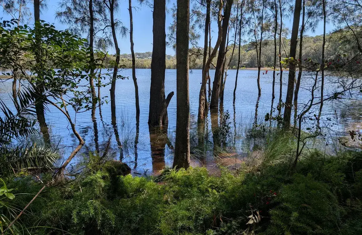 North avoca lake explorer