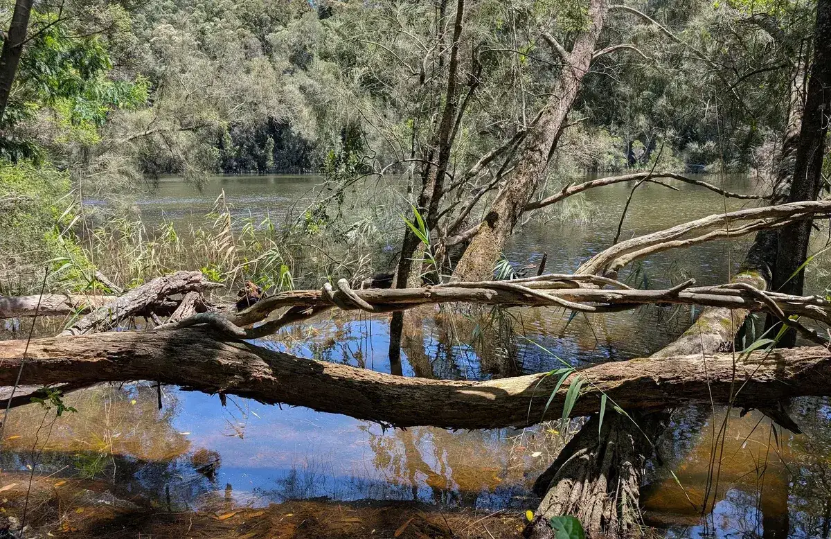 North avoca lake explorer