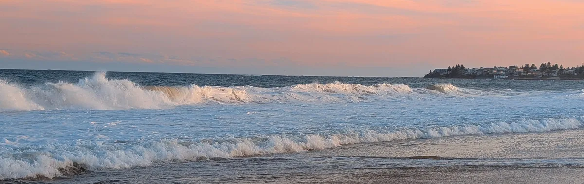 North entrance beach dog walk