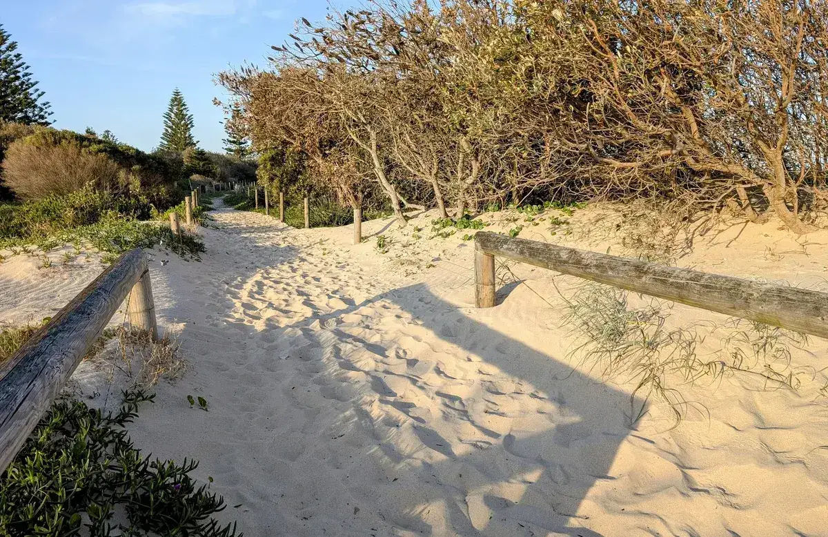 North entrance beach dog walk