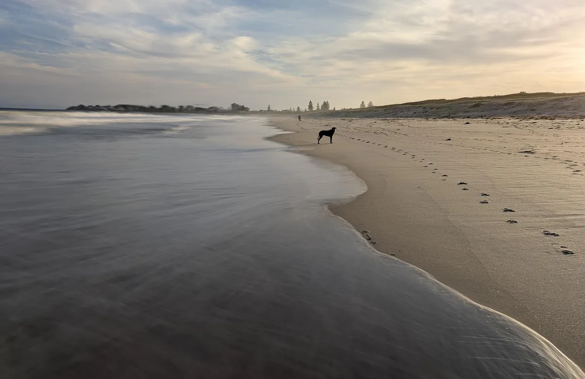 North entrance beach dog walk