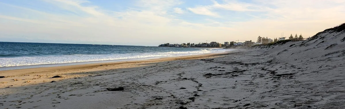 North entrance beach dog walk