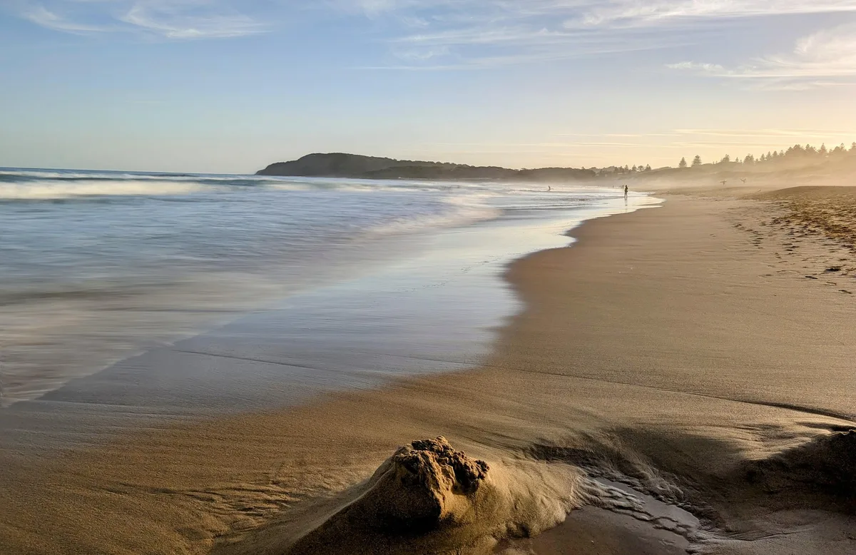 North Shelly Beach Dog Walk (1.2km) Return photo 4
