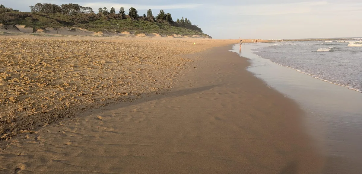 North Shelly Beach Dog Walk (1.2km) Return photo 5