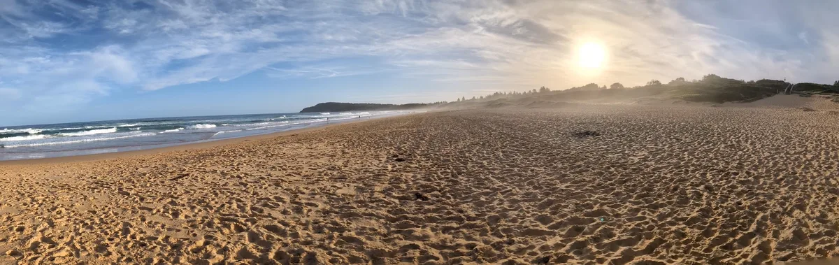 North Shelly Beach Dog Walk (1.2km) Return photo 7