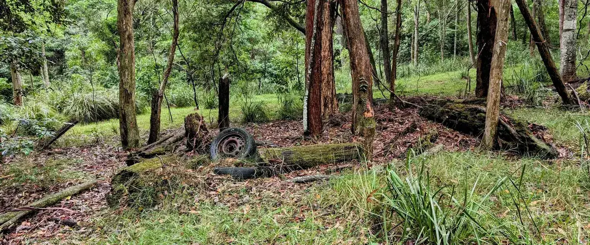 Old car tyre and rim dumped among fallen logs in the bush