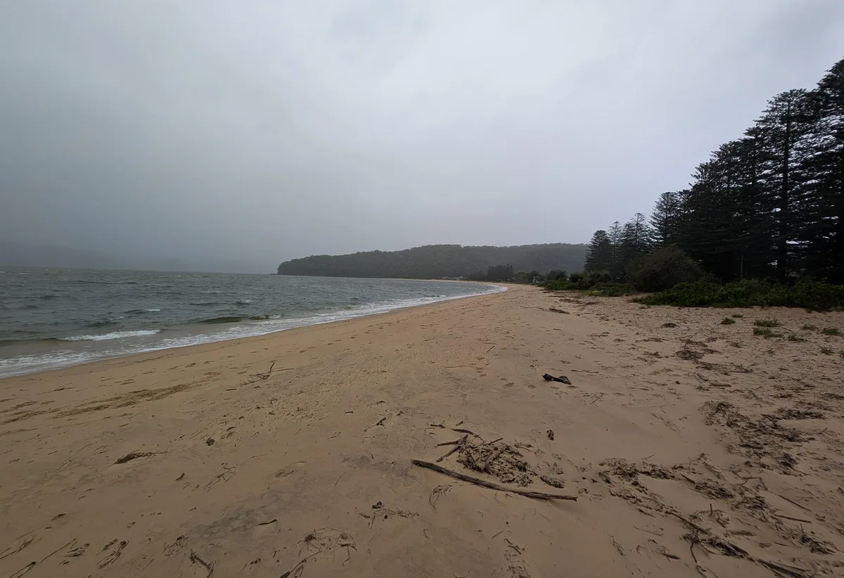 Empty sandy beach at Patonga with pine trees and misty headland