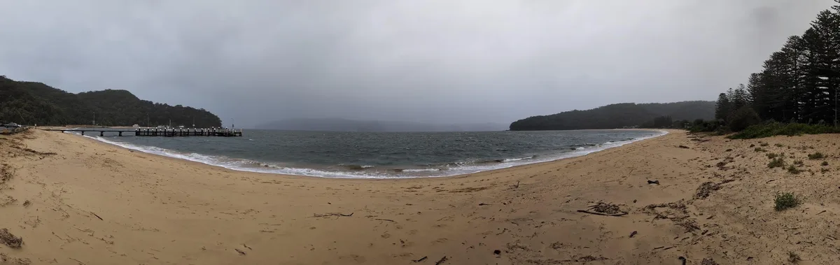 Panoramic view of Patonga beach with a jetty and pine lined shore