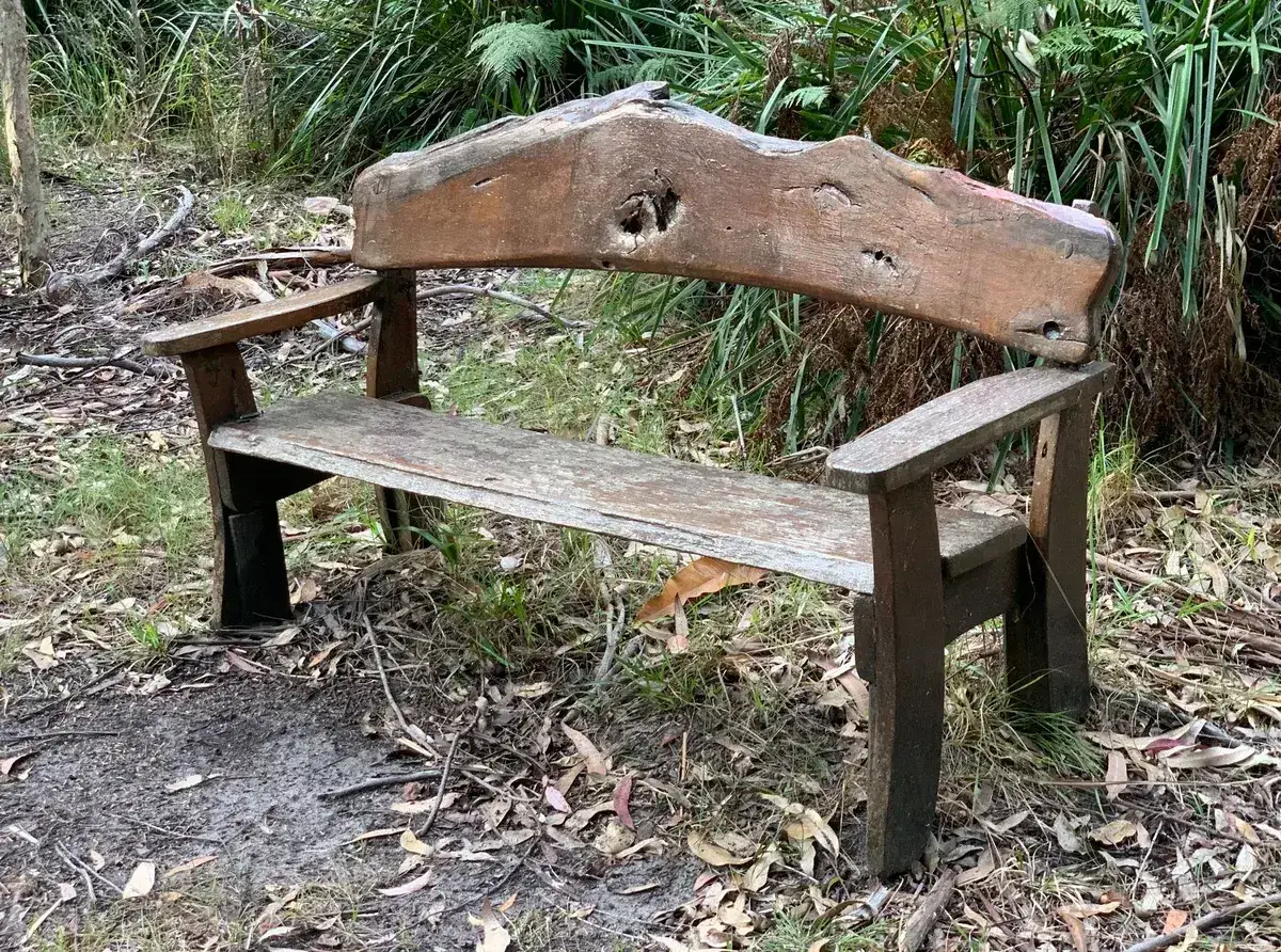 Pearl Beach Arboretum 1km Loop photo 4
