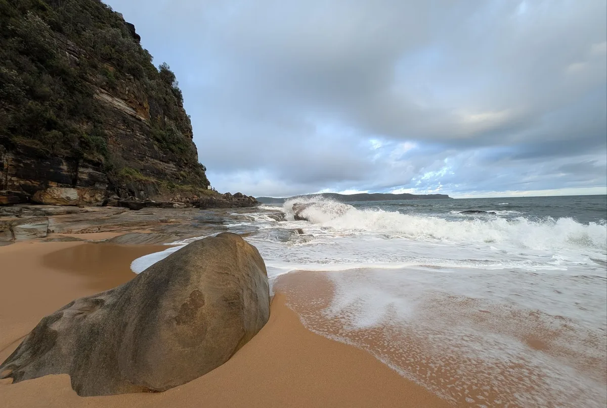 Pearl beach dog walk