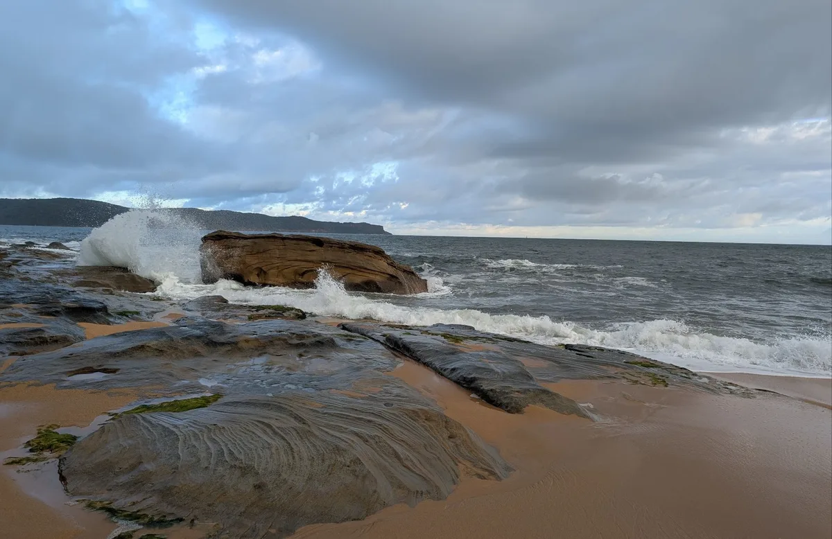 Pearl beach dog walk