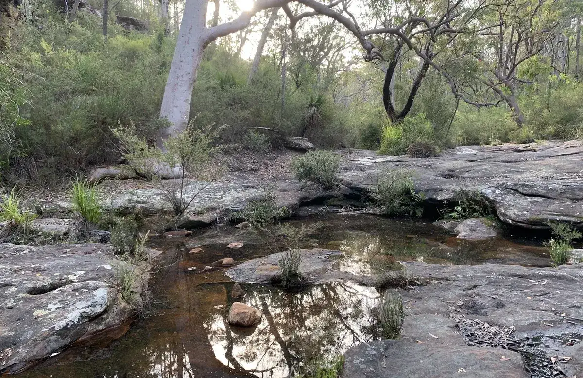 pearly ponds