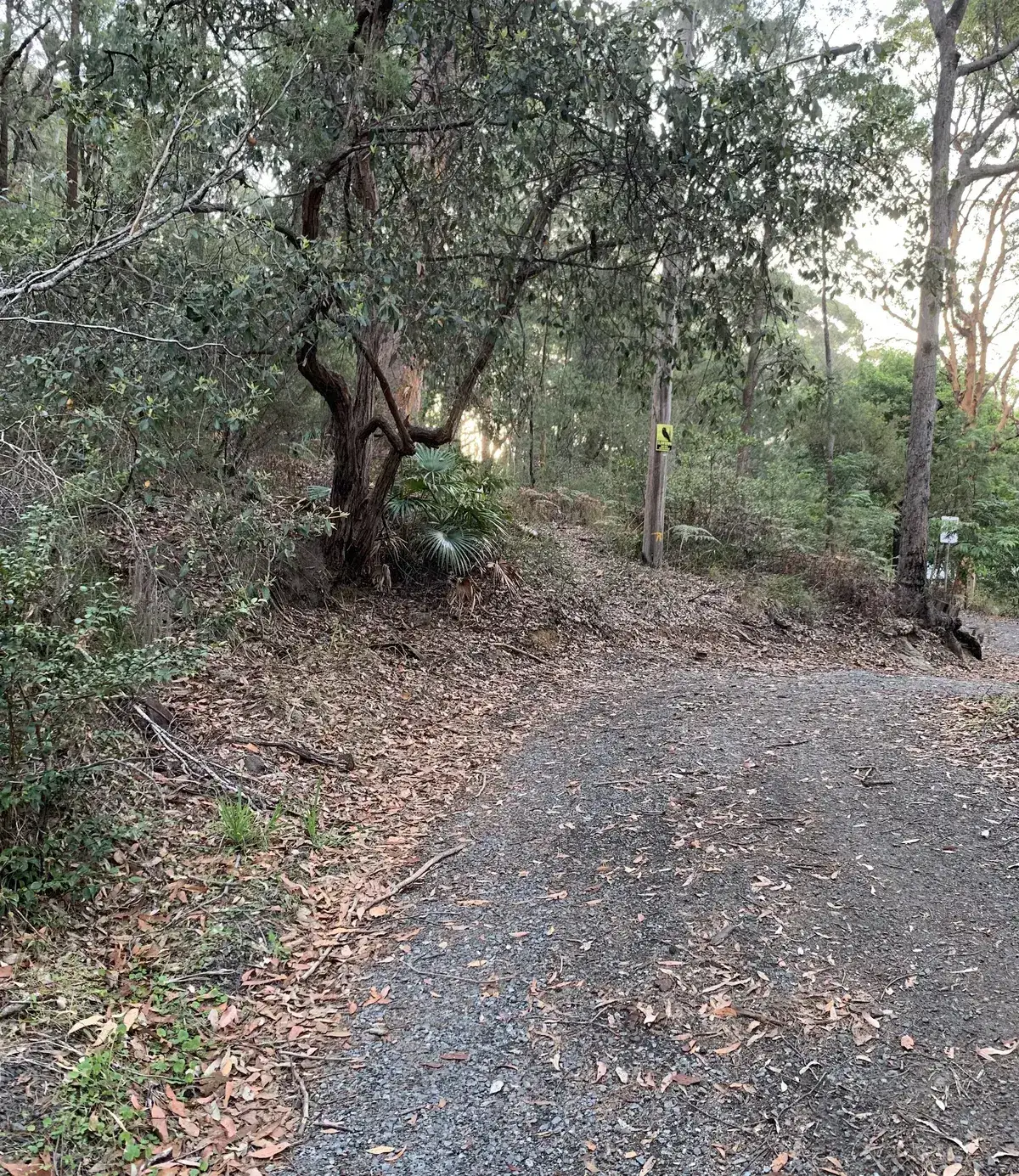 Start of walk (point 2)