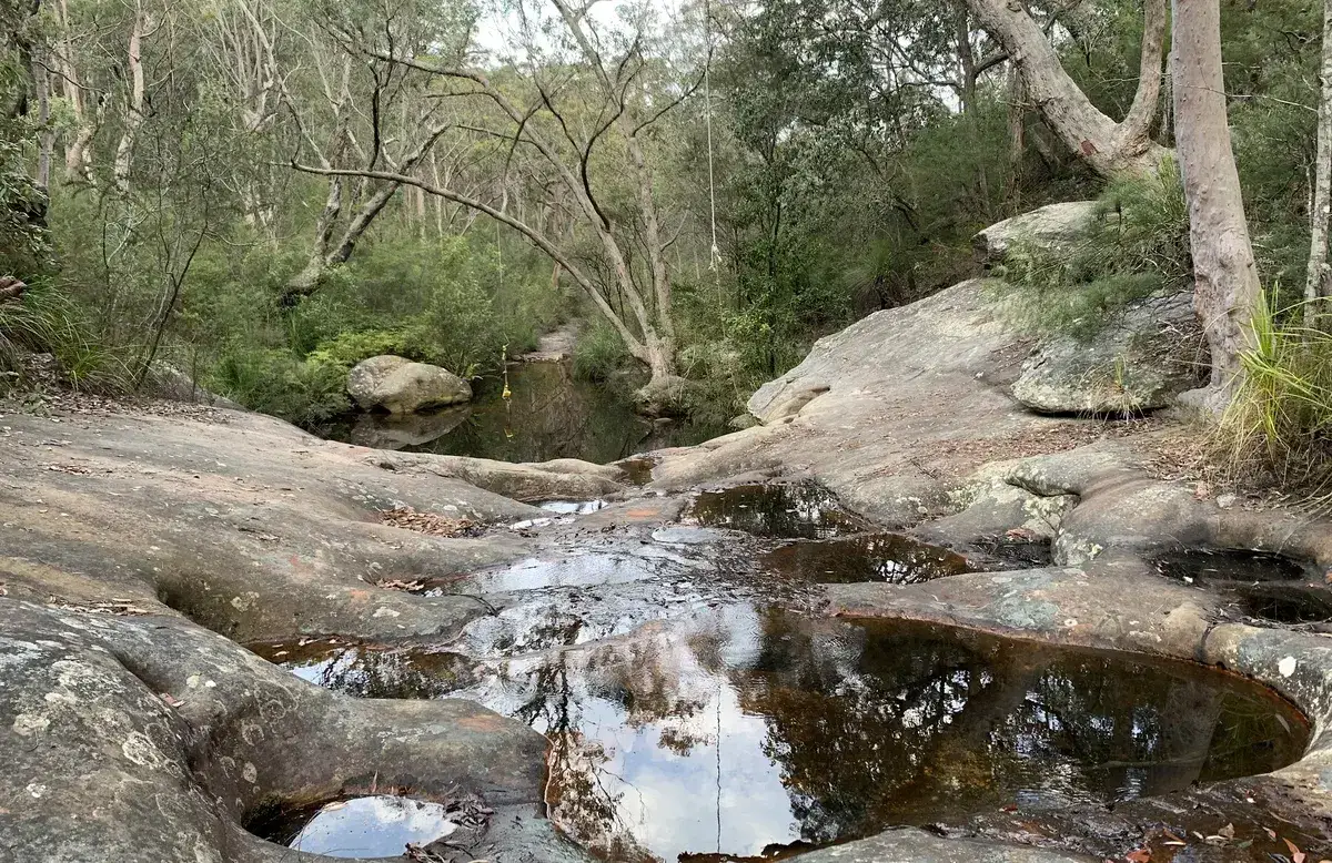 Pearly Ponds