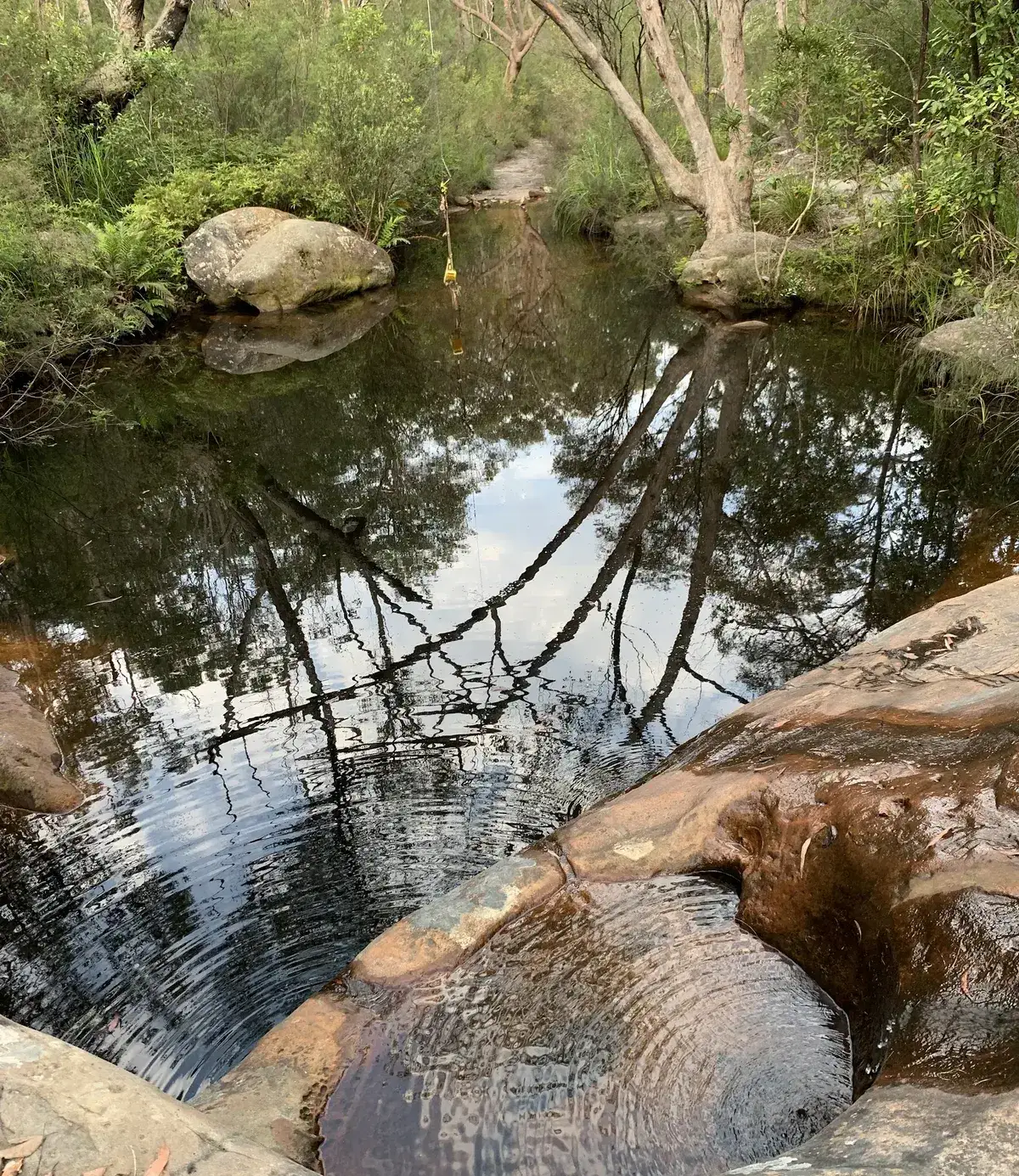 pearly ponds