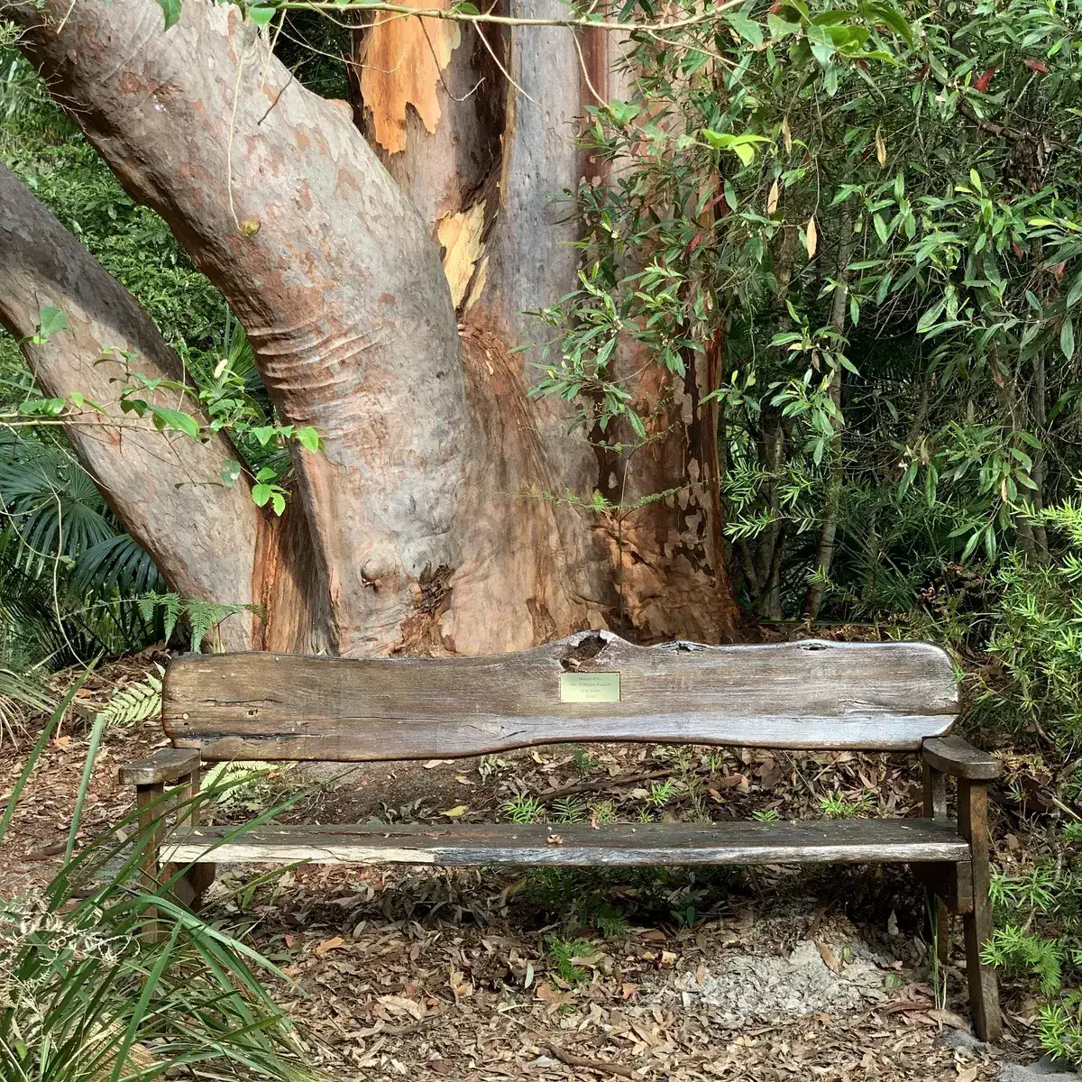 seat at pearl beach arbretum