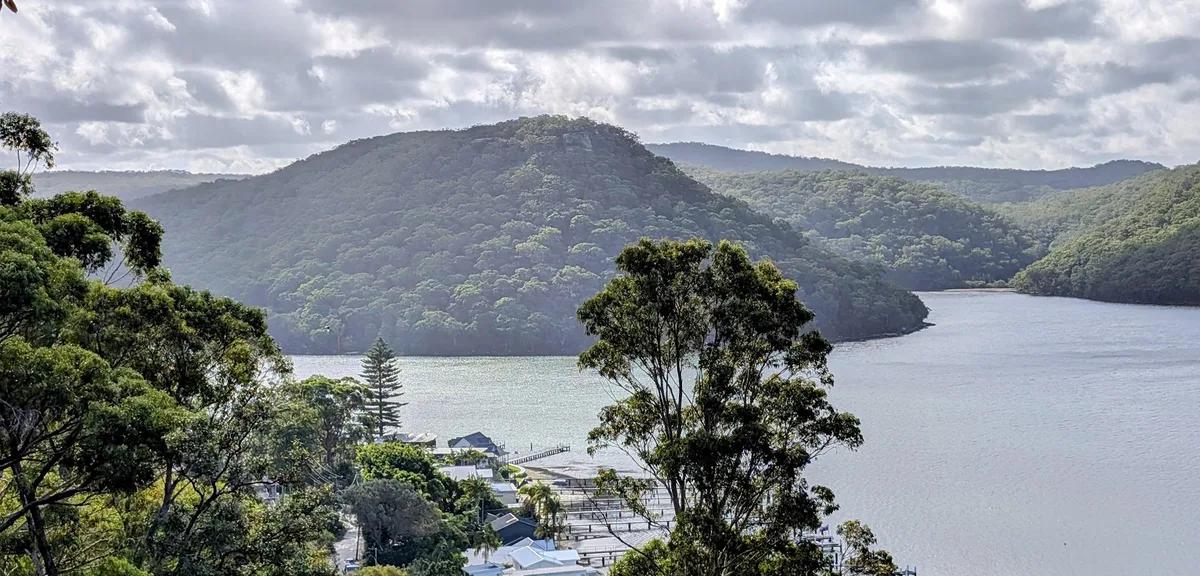 Wide view over the bay and forested hills from the ridge track
