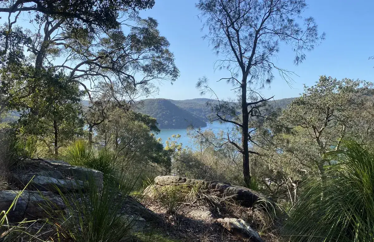 Brisbane Water glimpsed through trees from the ridgeline trail