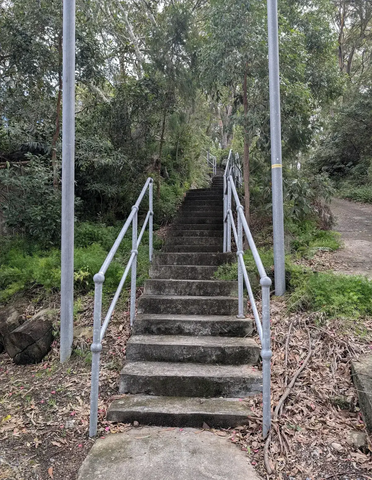 Elevated view over Brisbane Water from the Point Clare ridge track