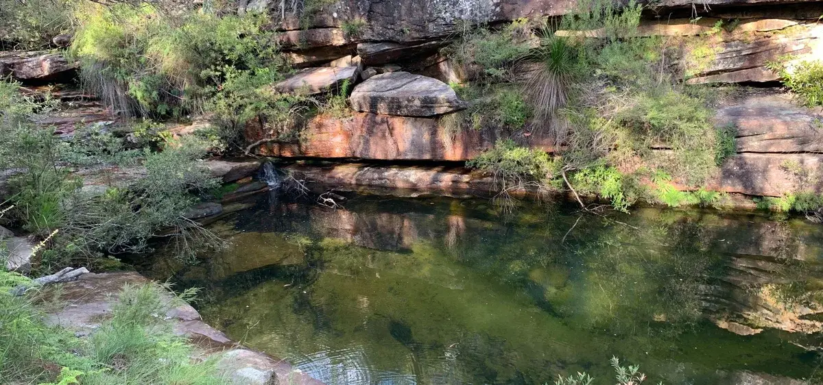 Emerald Pool - Popran national Park - wild swimming on the central coast