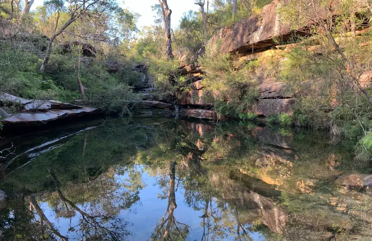 Emerald Pool - Popran national Park - wild swimming on the central coast