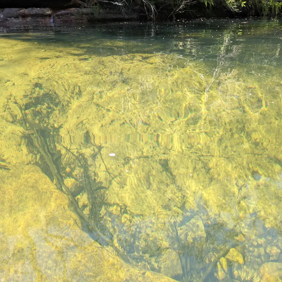 Popran emerald pool