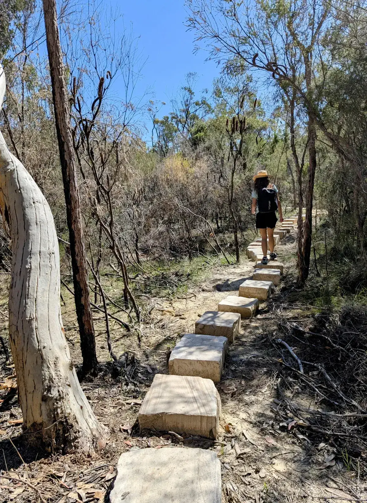 Popran emerald pool