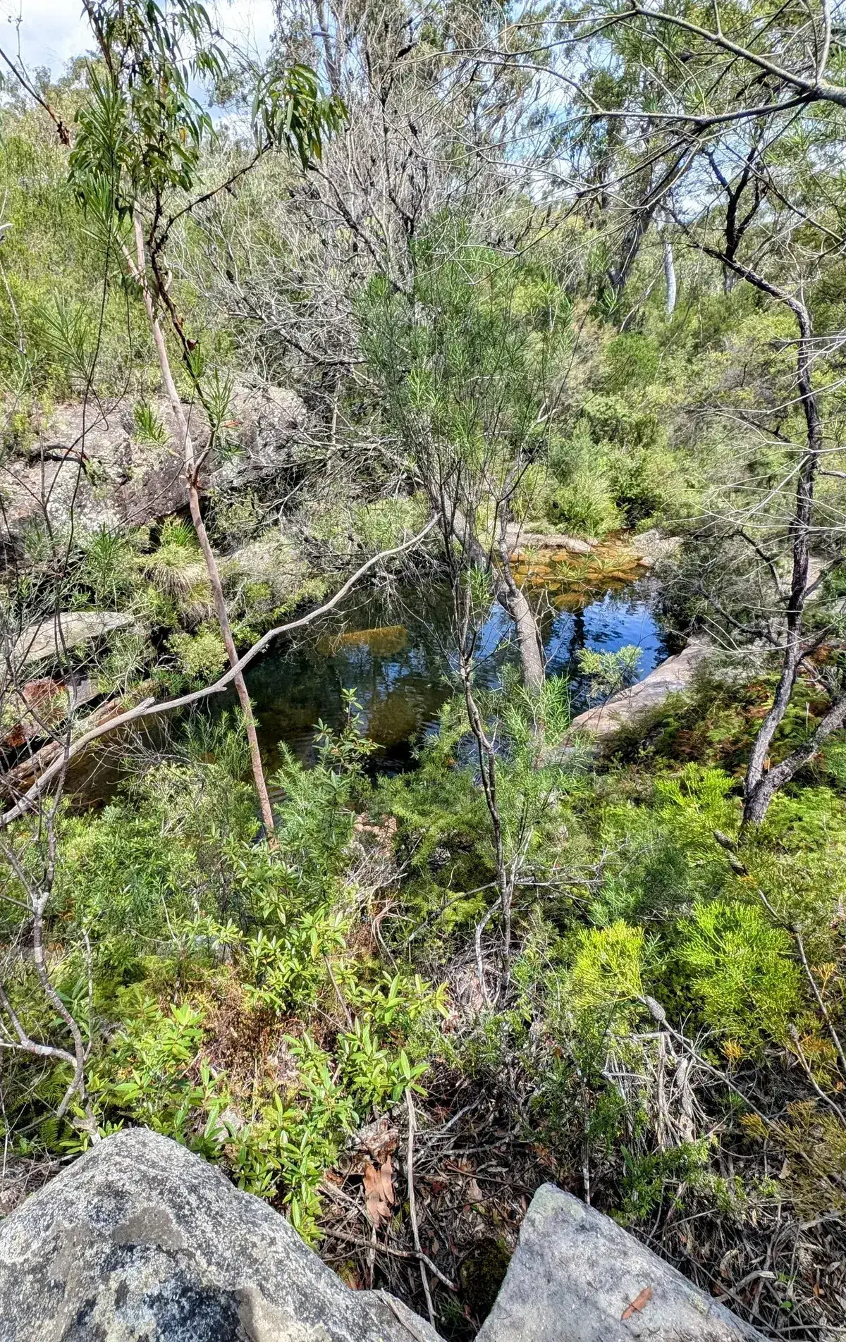 Popran emerald pool